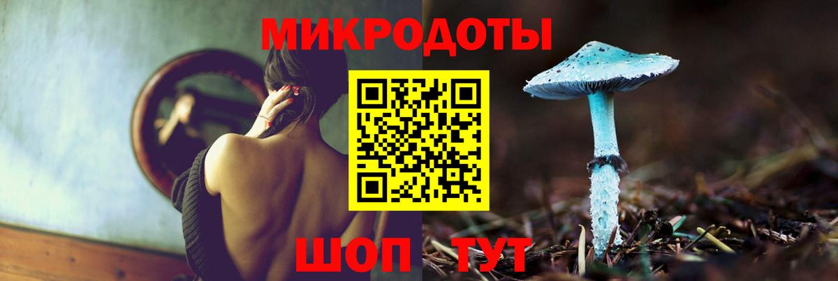 Кудымкар  Галлюциногенные грибы Psilocybe  Вход с VPN 